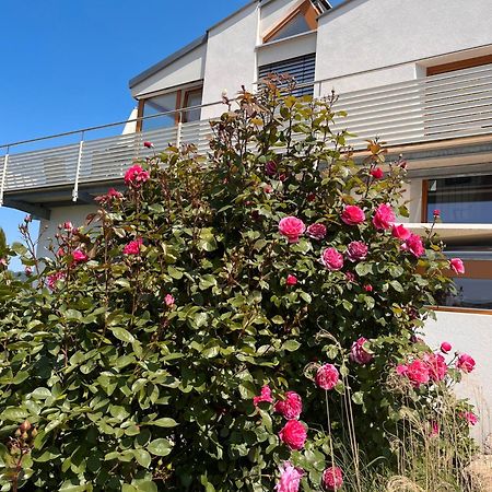 Ferienwohnungen Im Rosengarten 보드만루드비히샤펜 외부 사진