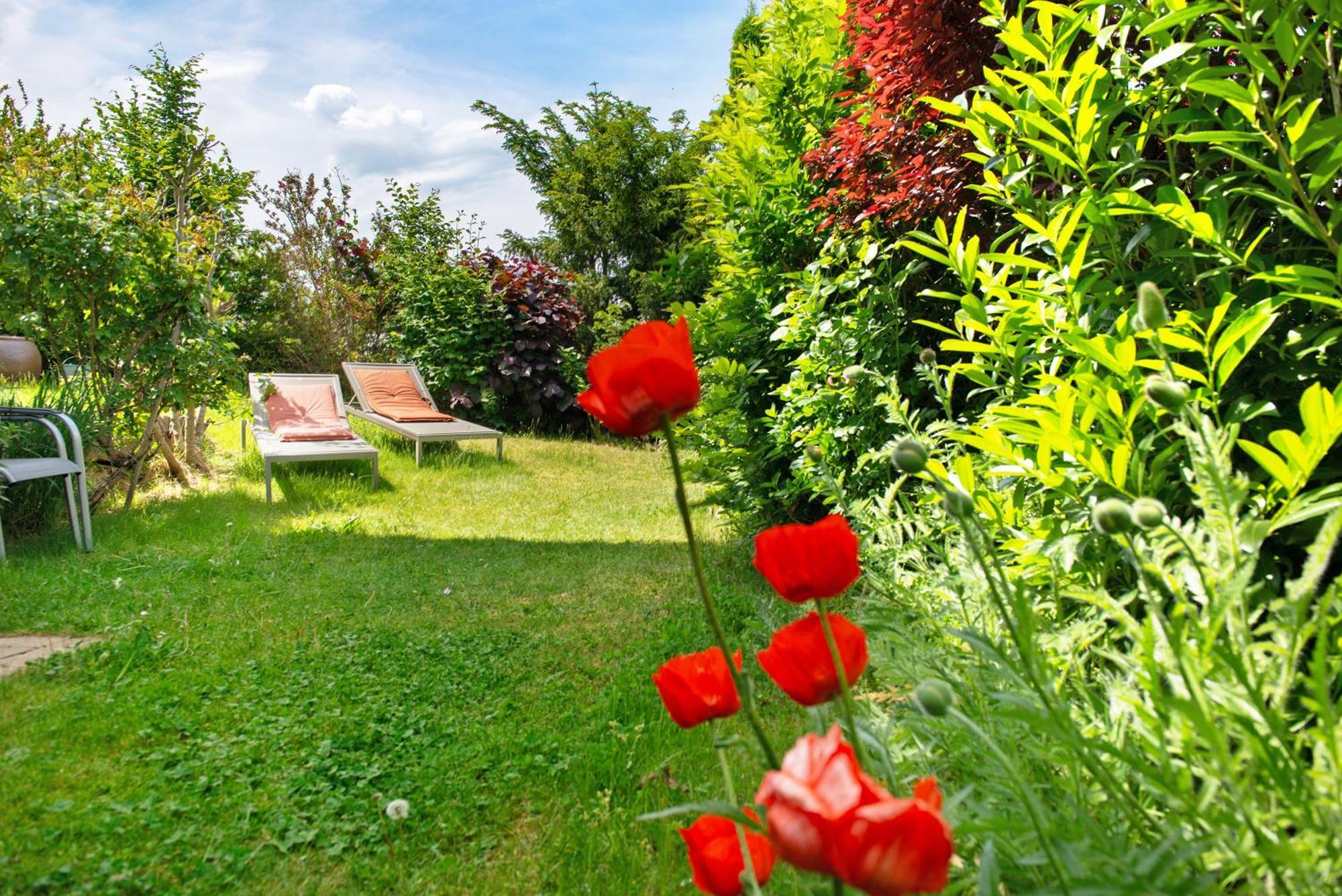 Ferienwohnungen Im Rosengarten 보드만루드비히샤펜 외부 사진